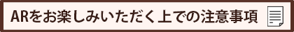 ARをお楽しみいただく上での注意事項