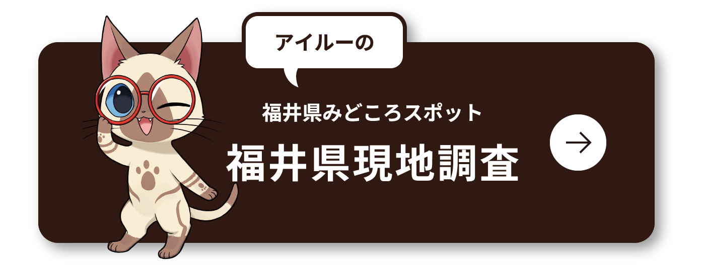 アイルーの福井県みどころスポット福井県現地調査