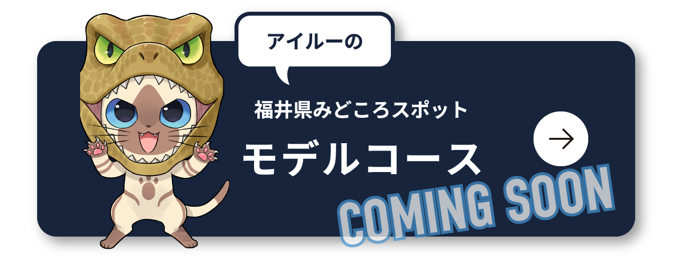 アイルーの福井県みどころスポットモデルコース COMING SOON